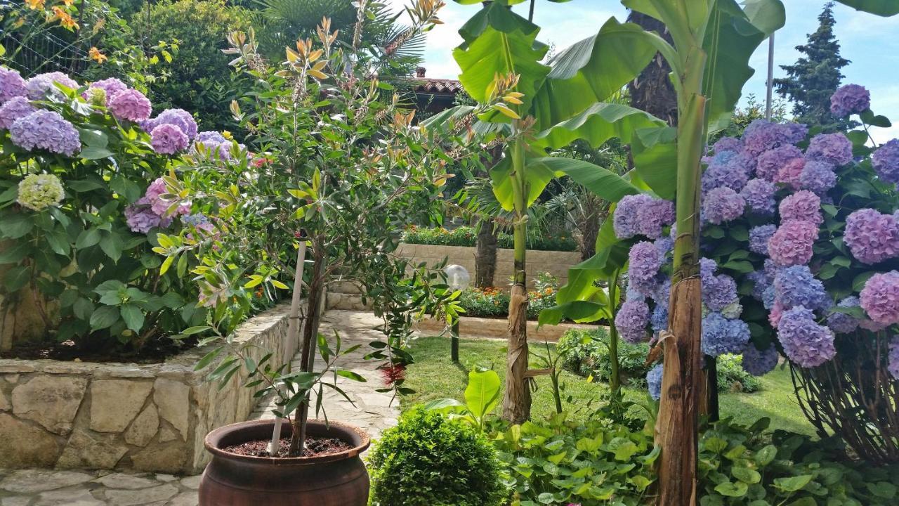 Apartman Ornela Poreč Zewnętrze zdjęcie